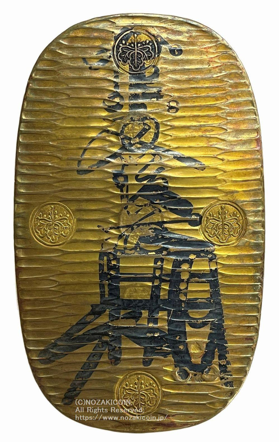 IMG_6642_1_900x.jpg?v=1689655054