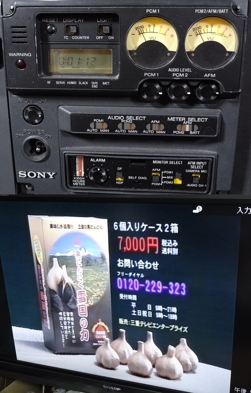 映像機器 ＞ 8ミリ/Hi8/DVビデオカメラ ＞ SONY EVV-9000＆VA-90 業務