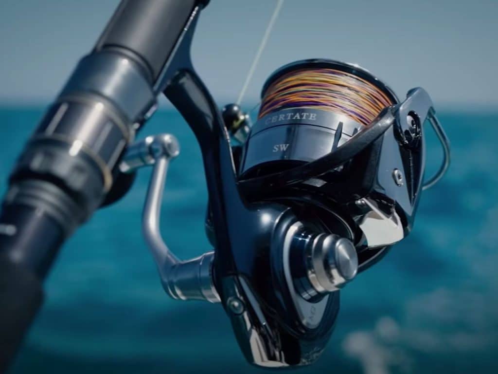 Daiwa Certate SW Spinning Reels – Neuse Sport Shop