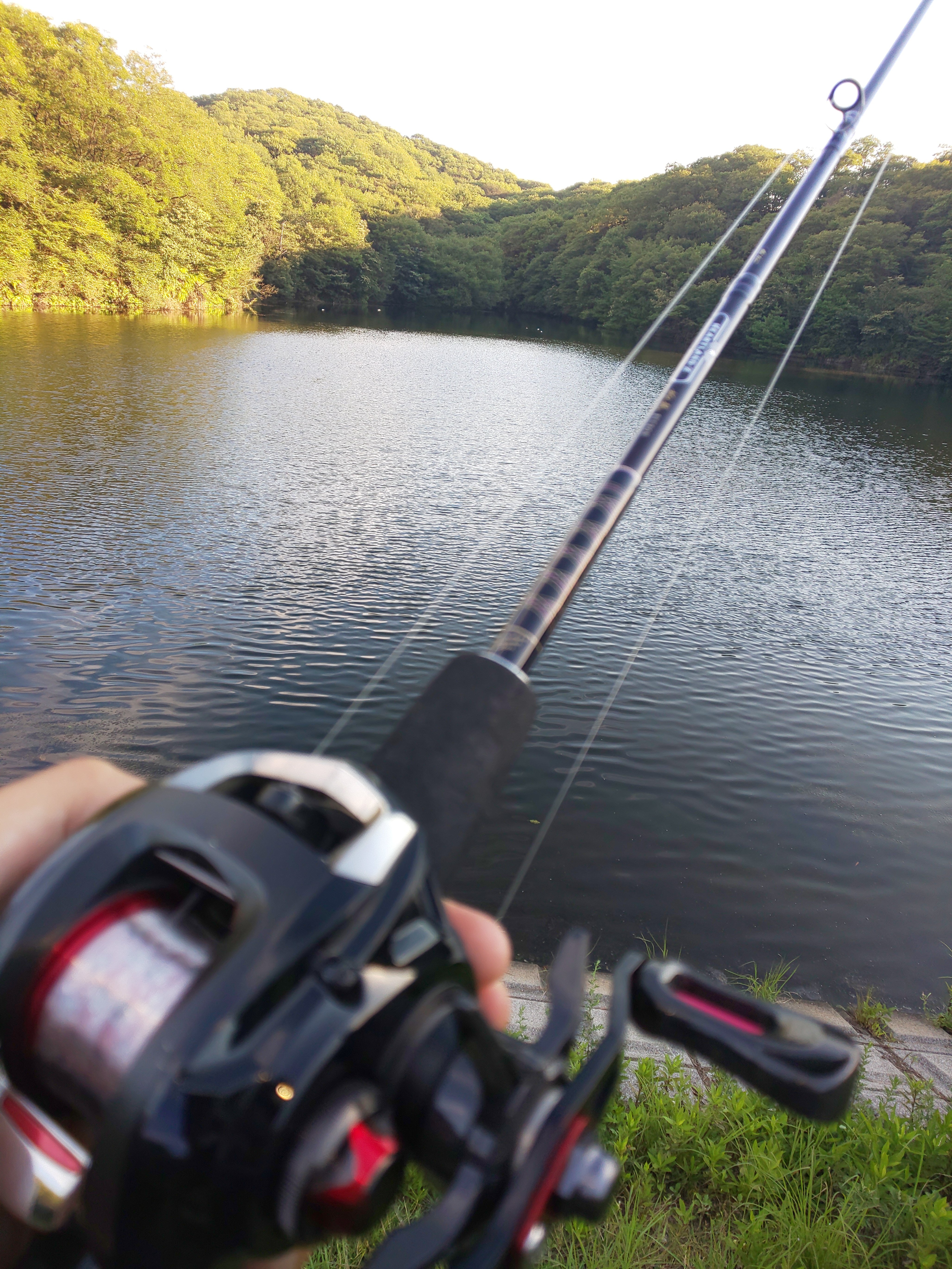 ハートランドZ 柳龍 6102MLFBの率直なインプレ