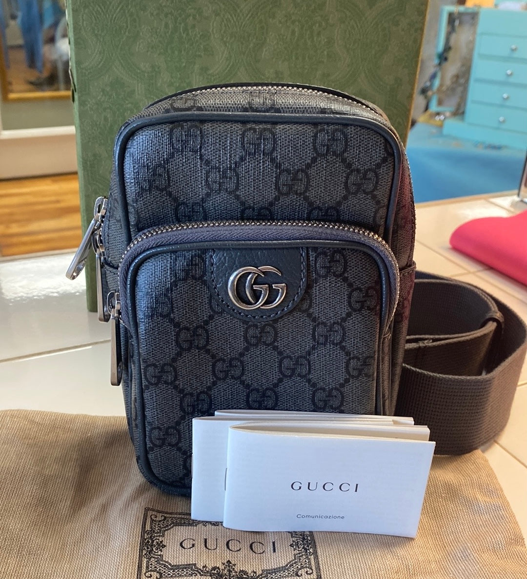 GUCCI GG Supreme Canvas Ophidia Minibag In GREY – Olivia's Closet
