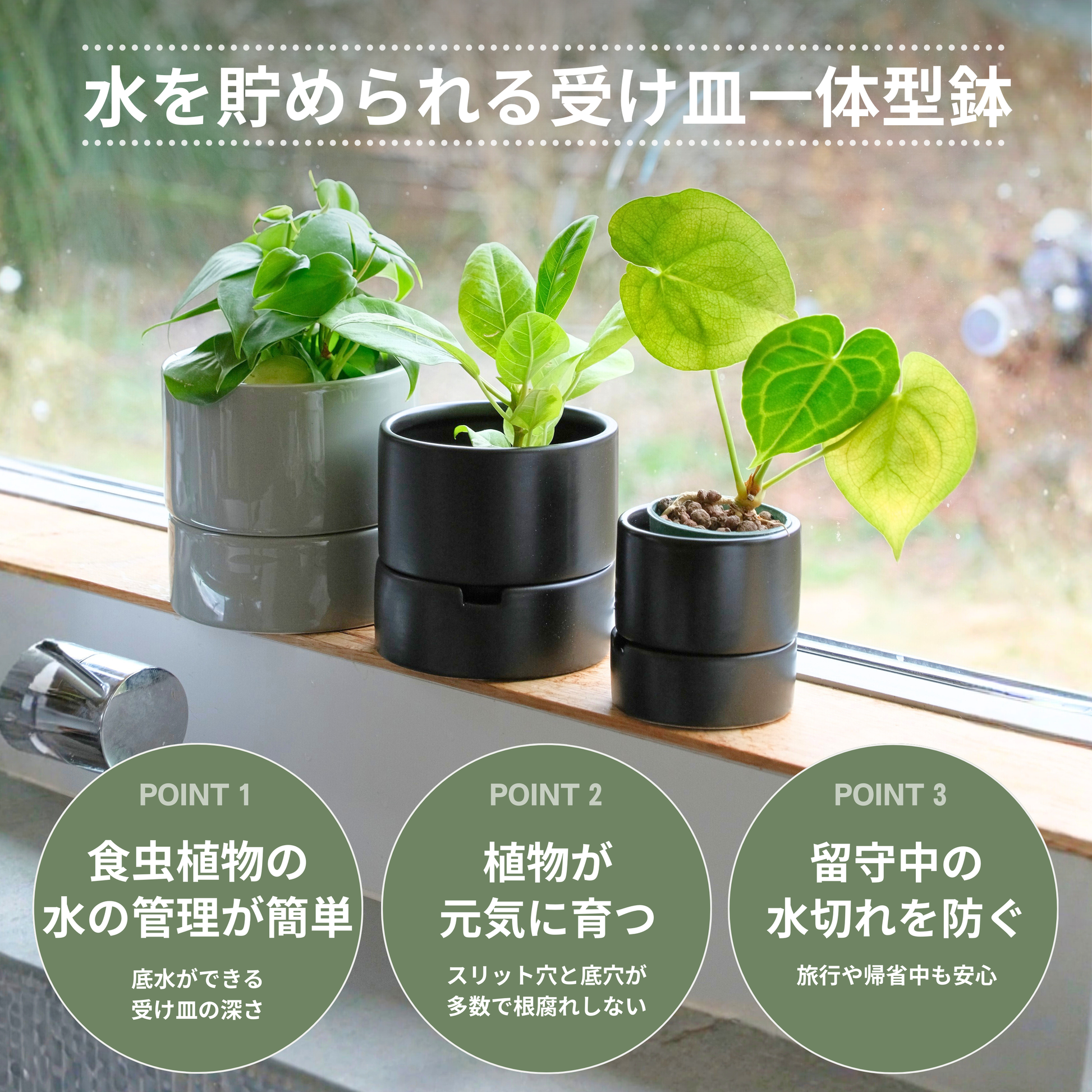 食虫植物・ハイドロカルチャーにぴったり｜陶器 植木鉢｜2号｜すーさん