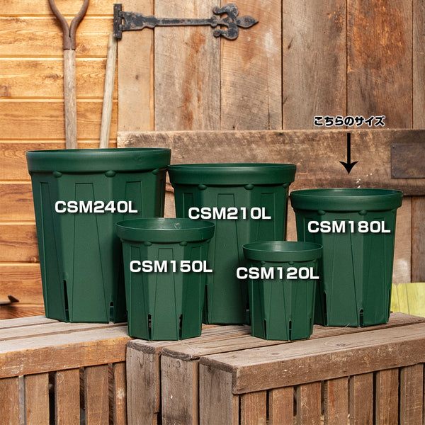 CSM180L_600x600_crop_center.