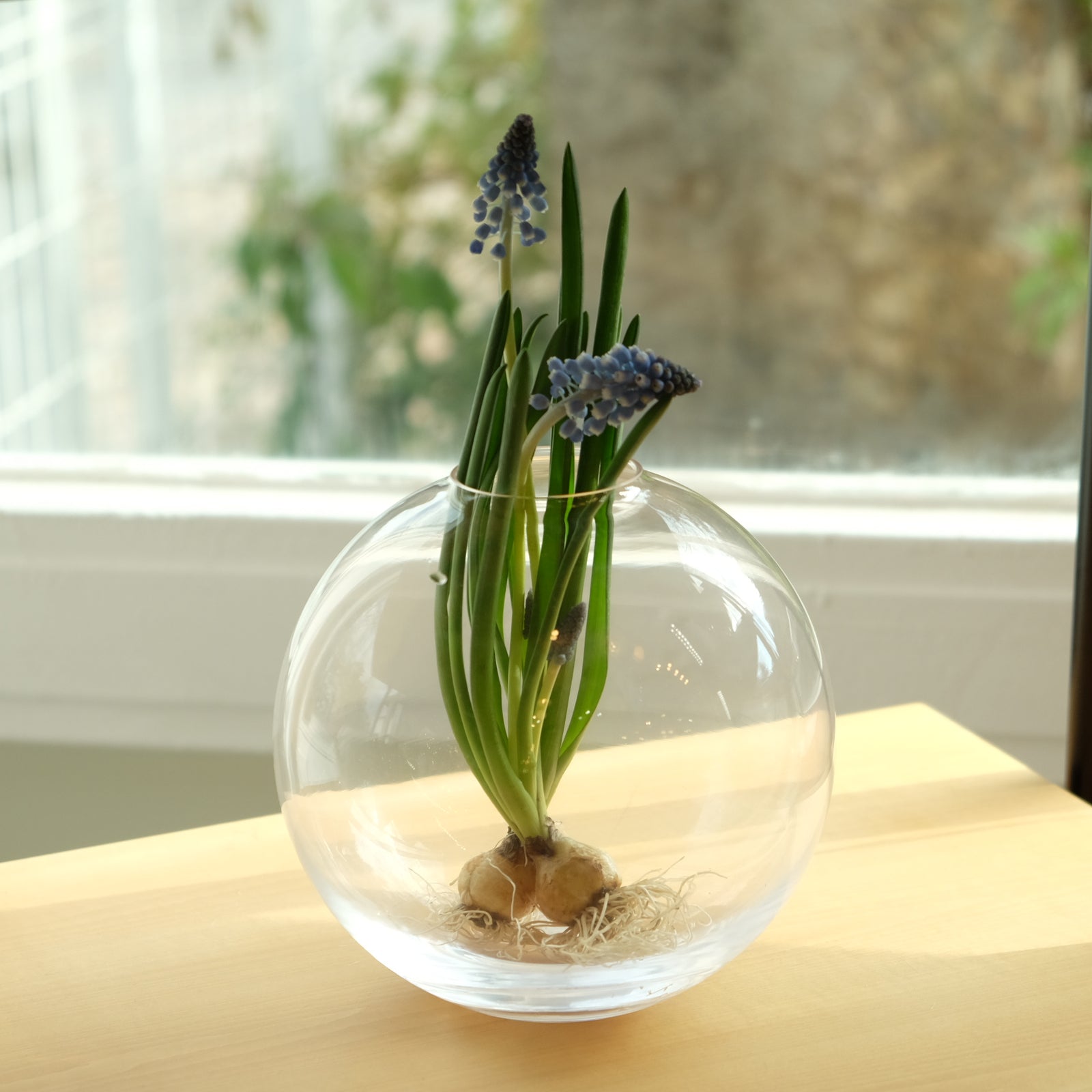 DSCF5222_1600x.jpg?v=1674372677