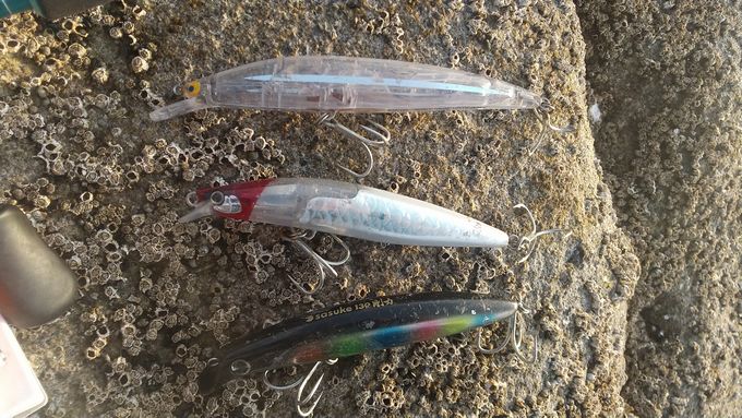 K2F142、ストロングアサシン、サスケ130剛力の飛距離を比較