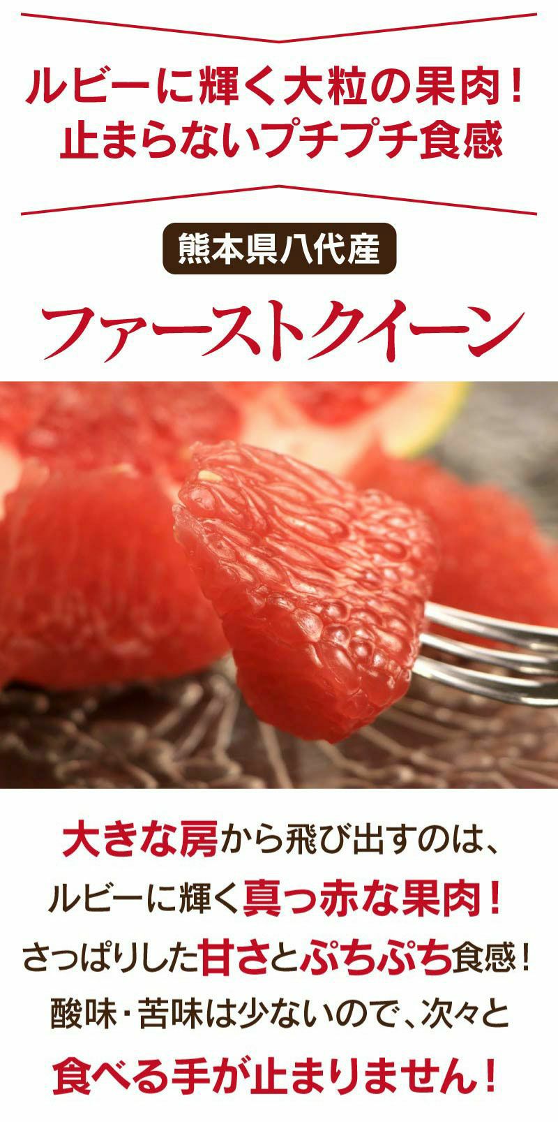 熊本産 早生文旦 ファーストクイーン 6玉入り（約8kg） 送料無料 ＜11
