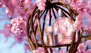L'OCCITANE｜ロクシタンの新しい春の香り「ワイルドチェリーツリー