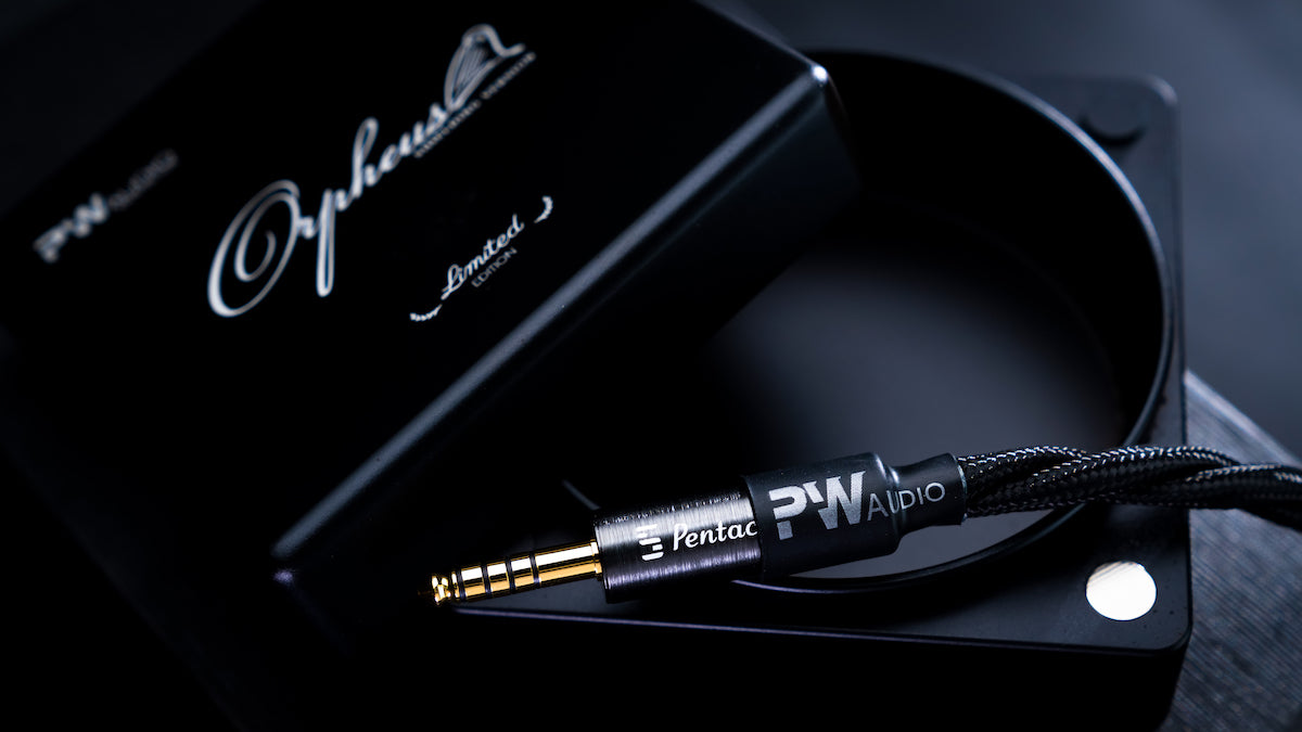 PW AUDIO Orpheus with Shielding – Oriolus Japan
