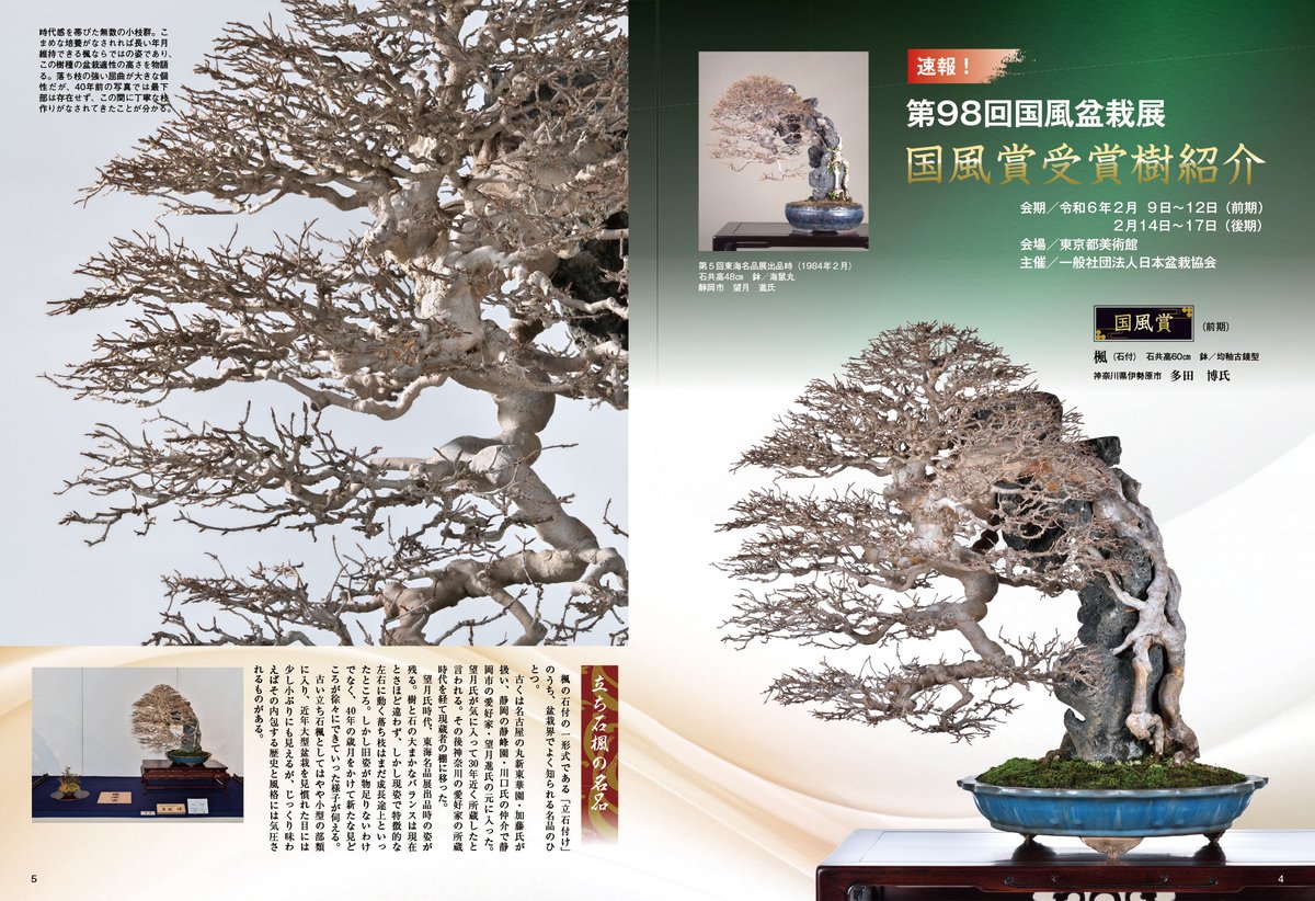 近代盆栽 2024年4月号 速報！ 第98回国風盆栽展 国風賞受賞樹一挙紹介
