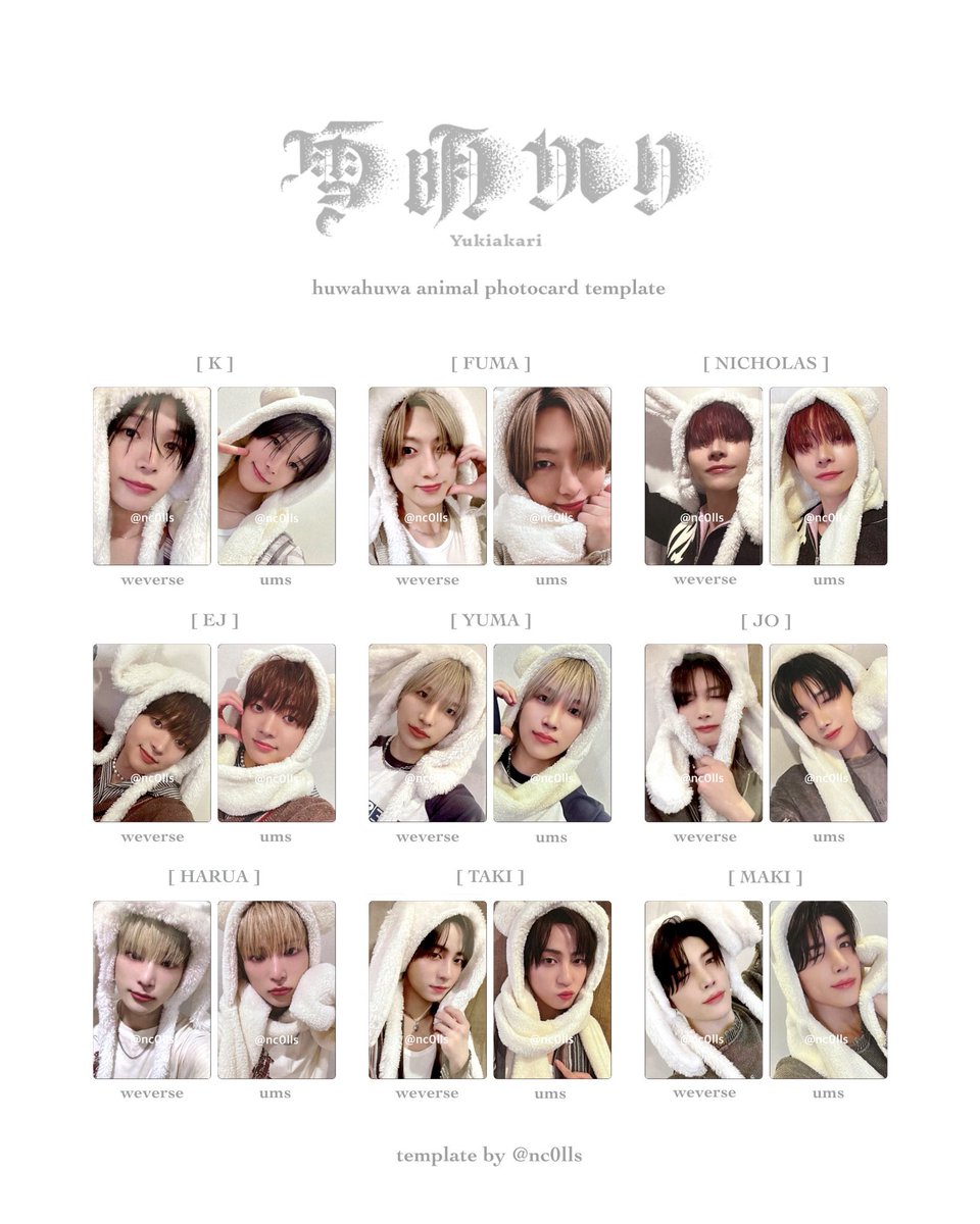 &TEAM 雪明かり Yukiakari ふわふわアニマルフォトカード animal