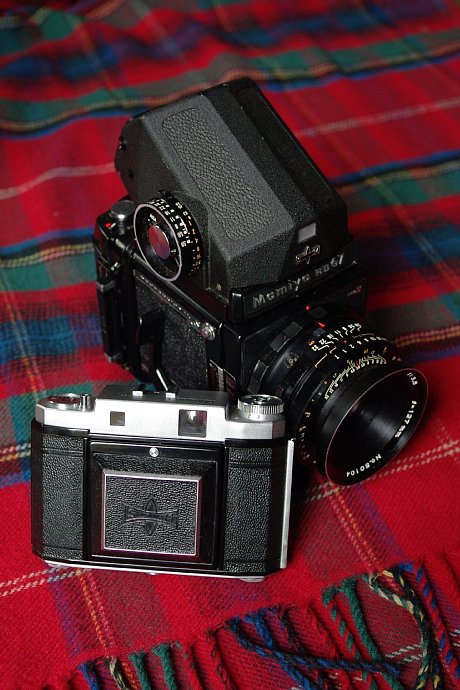 2010年10月20日 はじめまして、マミロクです : Black Face Sheep's