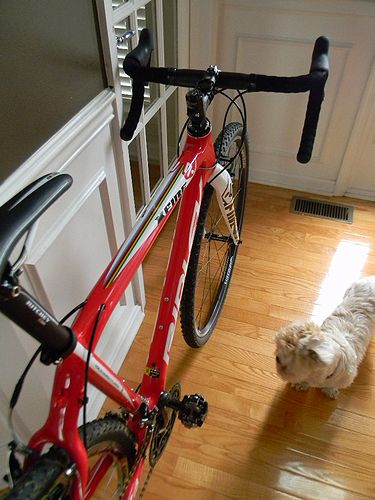 リドレー X-Fireシクロクロスバイク : アメリカを自転車でエンジョイ