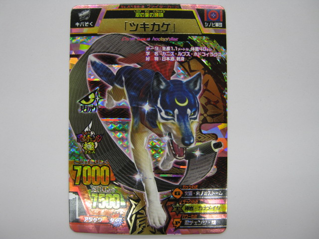 グレートアニマルカイザー 究極シシワカ(シークレット)➕太陽大接近