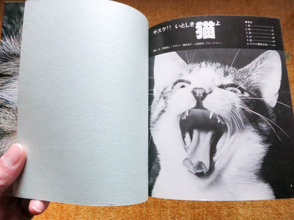 深瀬昌久 Masahisa Fukase 「サスケ!! いとしき猫よ Sasuke!! Dear my