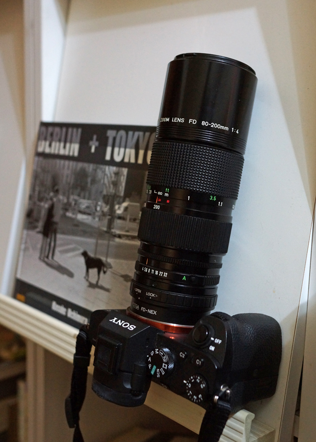 諏訪4】 見直しの諏訪 （キャノンNFD80-200テスト） : 写像的空間