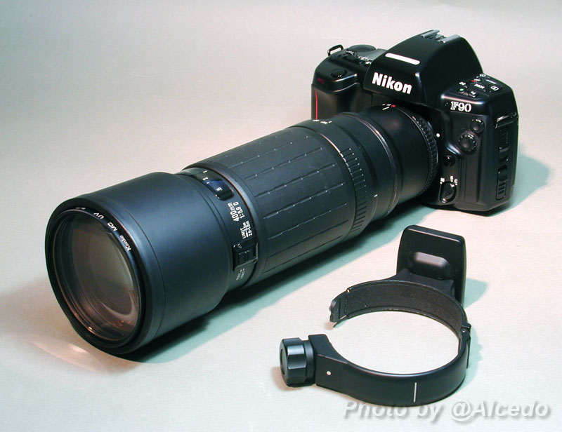 Sigma APO TELE MACRO 400mm F5.6 : カワセミ王国