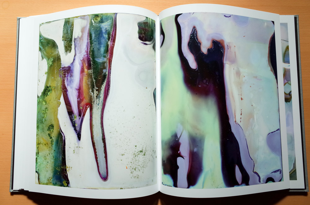 横田大輔 Daisuke Yokota 「Color Photographs」 : roshinbooks.blog