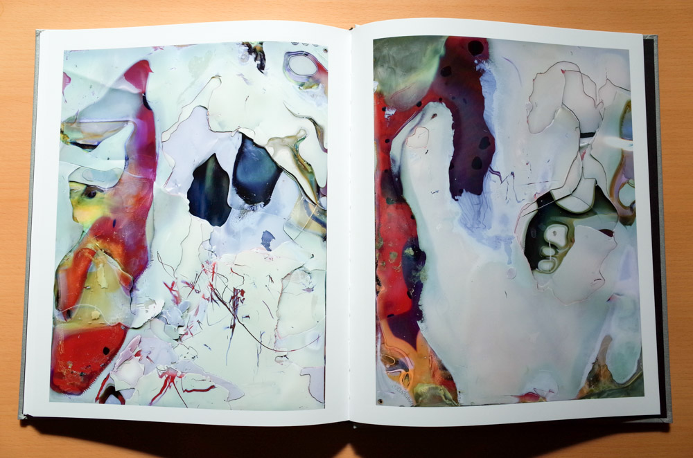横田大輔 Daisuke Yokota 「Color Photographs」 : roshinbooks.blog