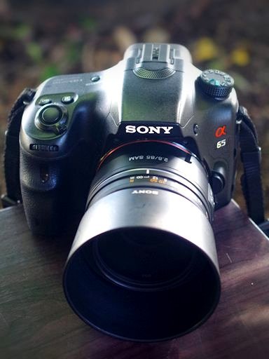デジタル一眼レフ・クラッシックス（13）「SONY α65」 : 【匠の