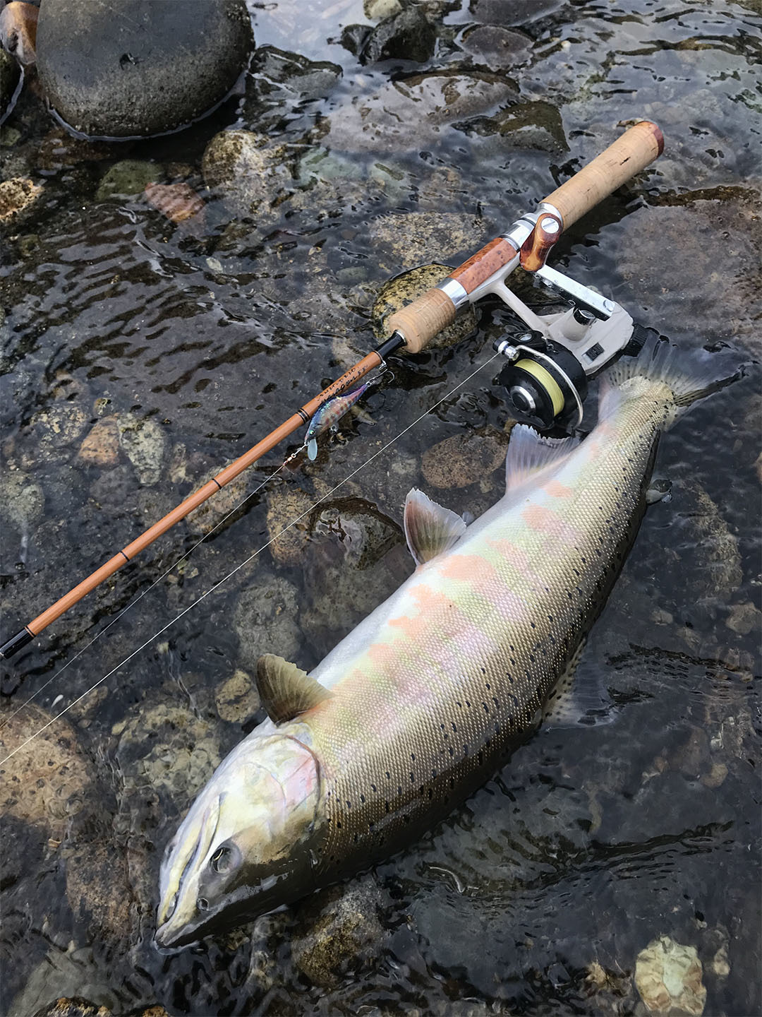 嗚呼、怒涛のBum Report特集その1。 : Anglo & Company Weblog