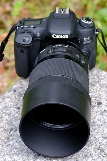 デジタル一眼レフ・クラッシックス(21)「CANON EOS 8000D」 : 【匠の