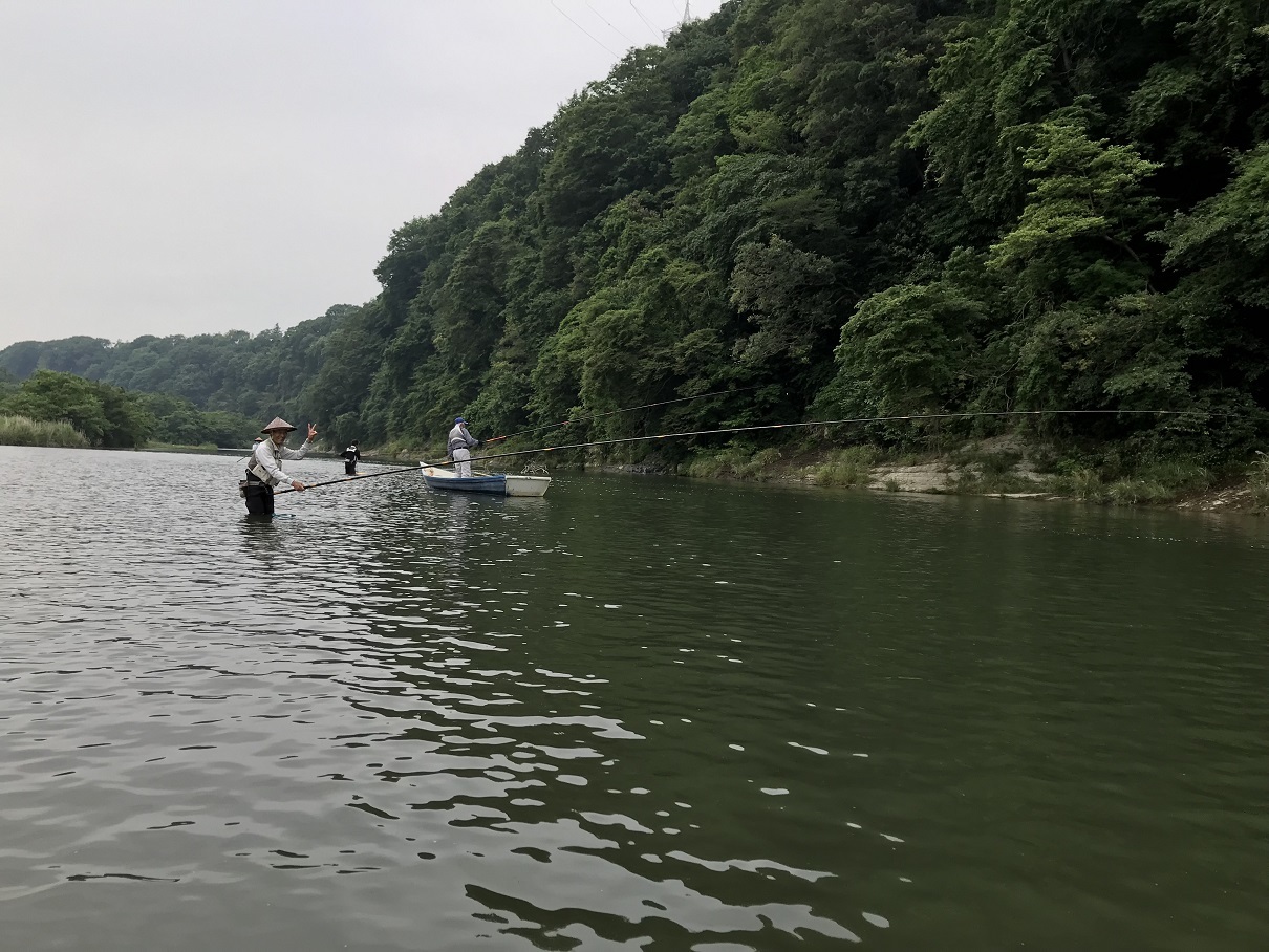 相模川釣行 葉山島右岸 : 鮎毛鉤釣りの旅