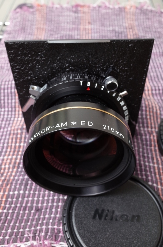 Nikon Nikkor AM-ED210mm f5.6 : Square Photography