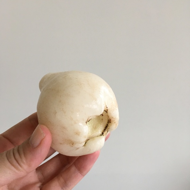 台湾の果物 白いレンブ「白玉蓮霧」 : そこはかノート ー台湾つれづれー