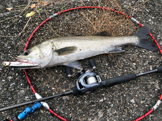 ラブラックスAGS 77LMLB : メカニコの釣り雑記帳