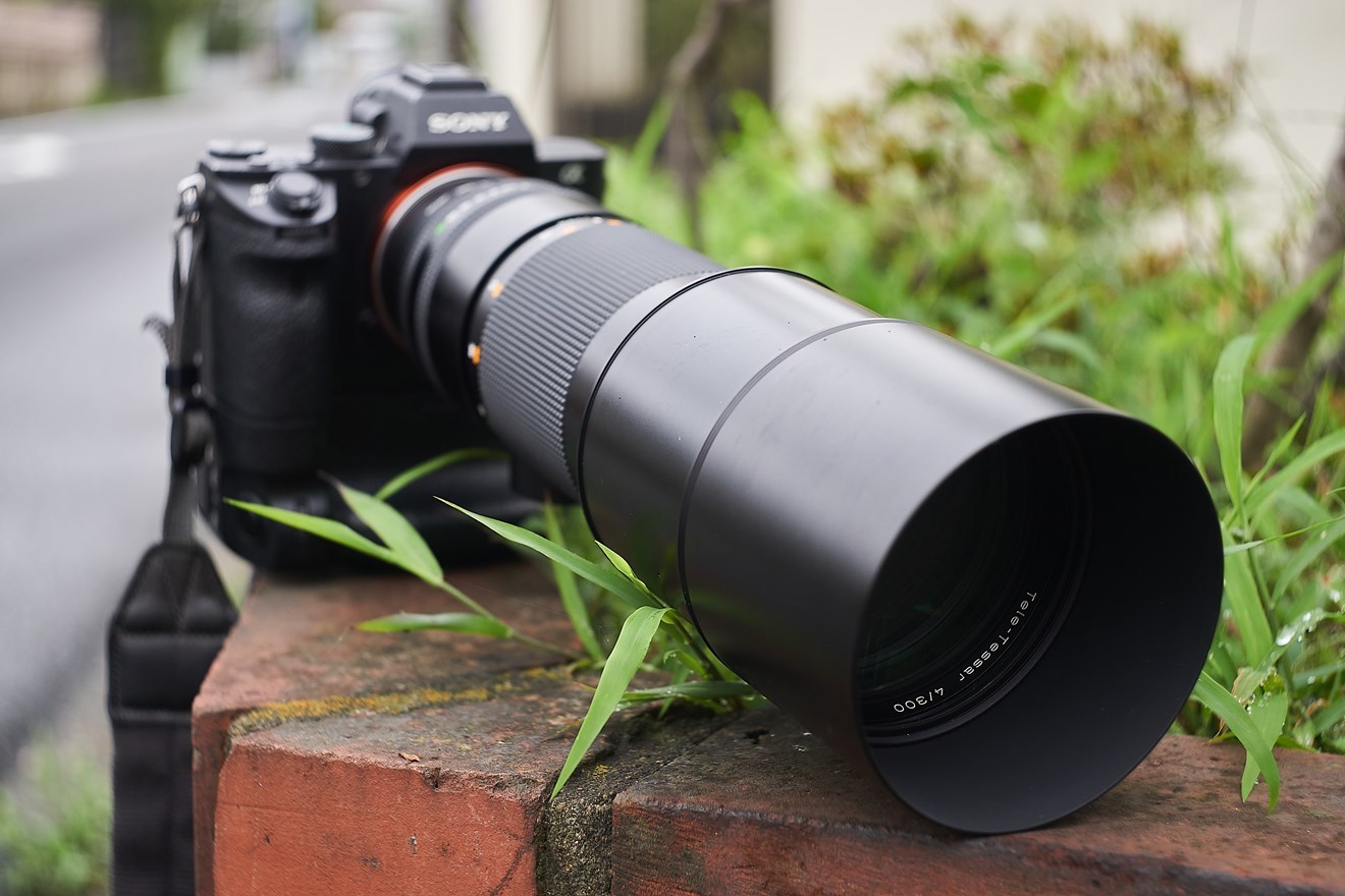 CONTAX Tele-Tessar 300mm F4 : saruyamaの沼探検Ⅱ(ﾊﾟｰﾄ2)