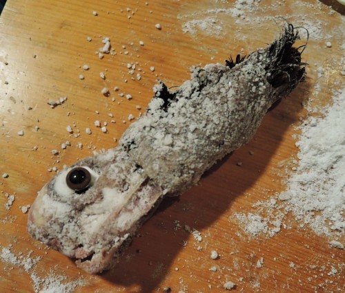 鴨の頭、剥製計画！（閲覧注意） : なまらや的日々