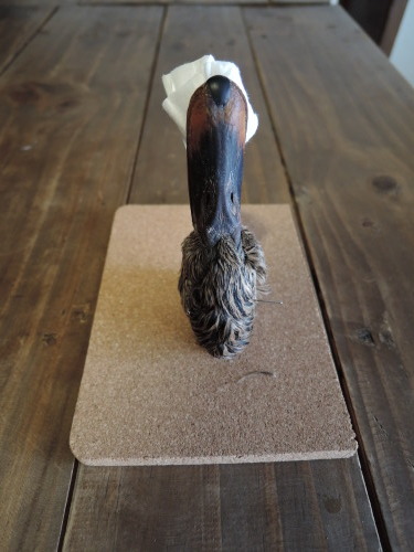 鴨の頭、剥製計画！（閲覧注意） : なまらや的日々