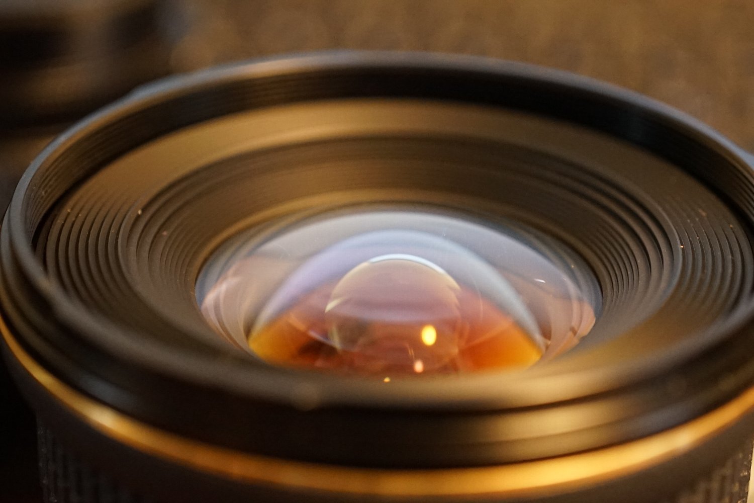 MD Macro Rokkor 50mm F3.5 で 接写 : nakajima akira's photobook