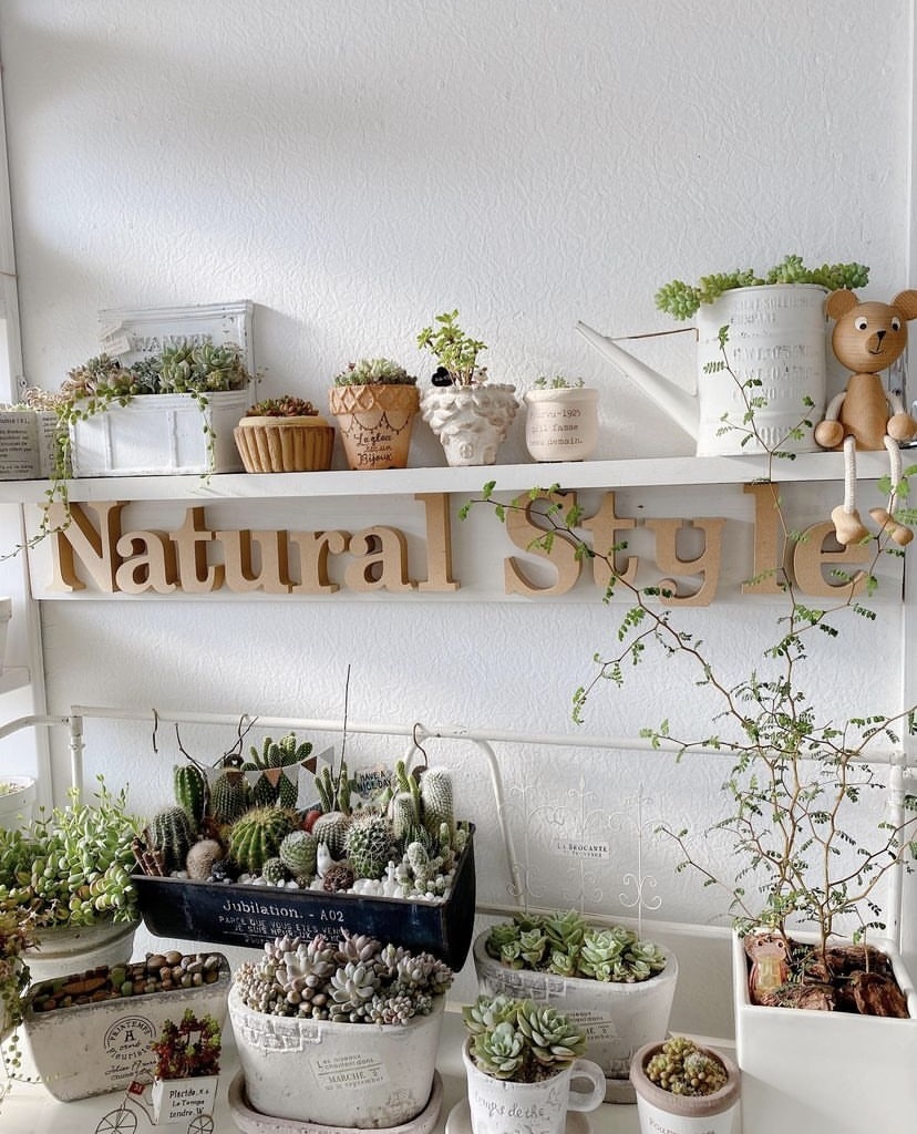 DIYの多肉棚をニトリの棚に替えました* : Natural style*
