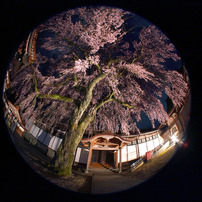 SIGMA(シグマ)のレンズ 8mm F4 EX DG CIRCULAR FISHEYE (ﾆｺﾝ AF) で