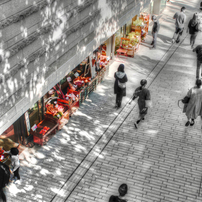 SIGMA(シグマ)のレンズ 30mm F2.8 EX DN [ソニー用] で撮影した写真