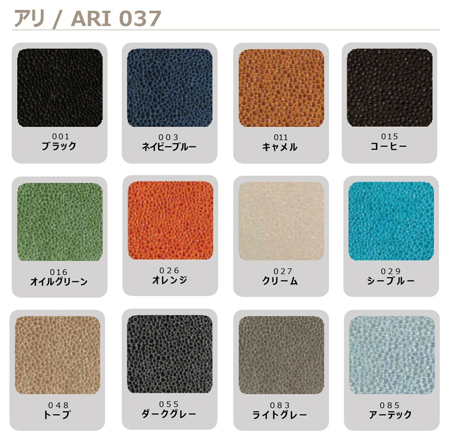 レタートレー / 339 | pinetti（ピネッティ）