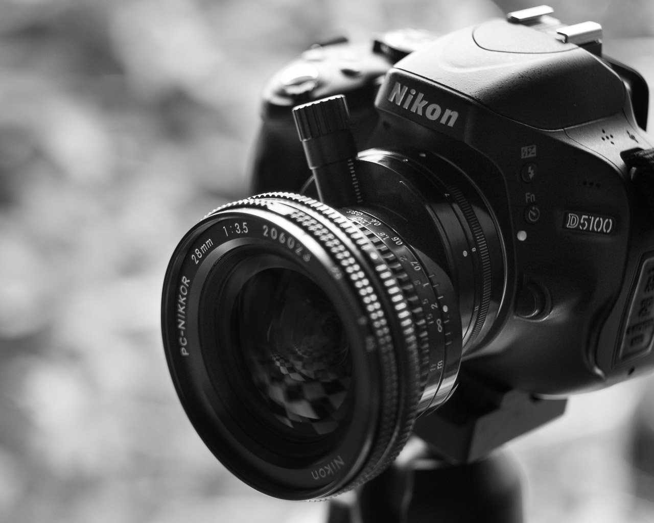 The PC-Nikkor 28mm f/3.5 – An Old New Favourite – poetoegraphy