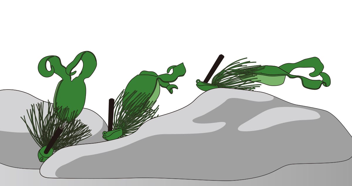 PORK | deps OFFICIAL HP | デプス 公式HP