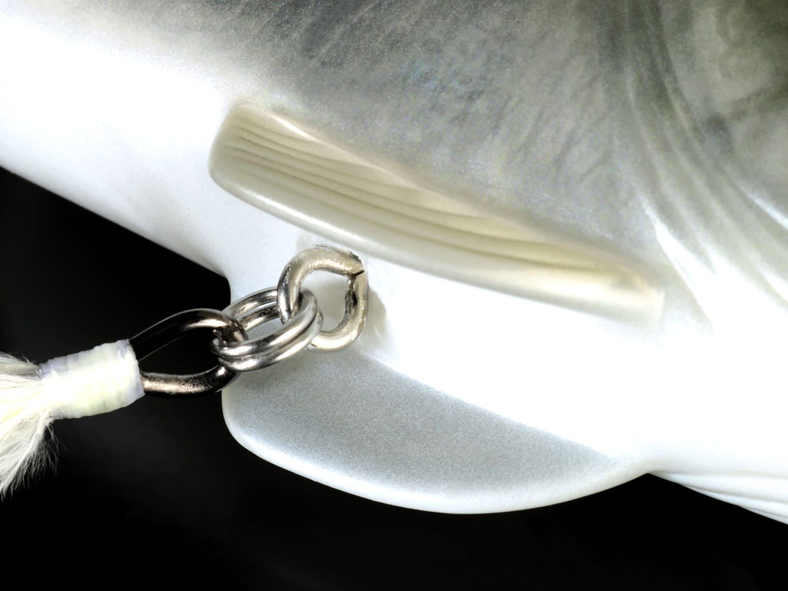 コードネームバス/SS | deps OFFICIAL HP | デプス 公式HP