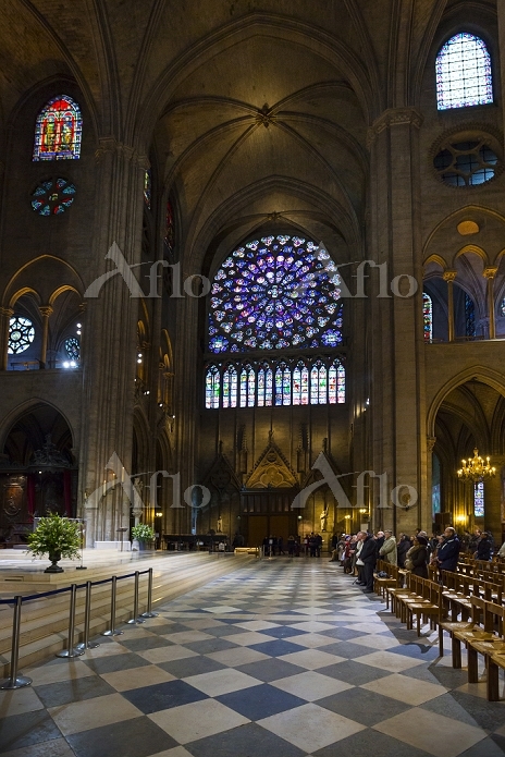 フランス パリ ノートルダム大聖堂 バラ窓のステンドグラス [21939679