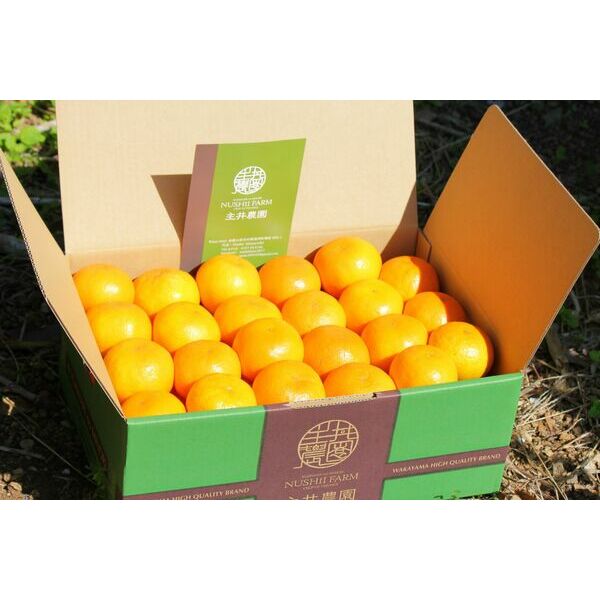 松兵衛みかん（ゆら早生） | プレミア和歌山