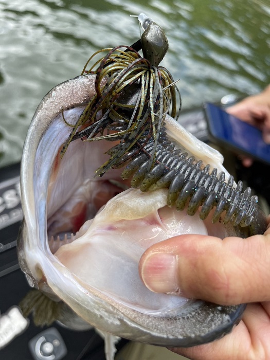 ルアマガprime | 川村光大郎 OPENMIND 2024/5/19 サタン島田さんと衝撃