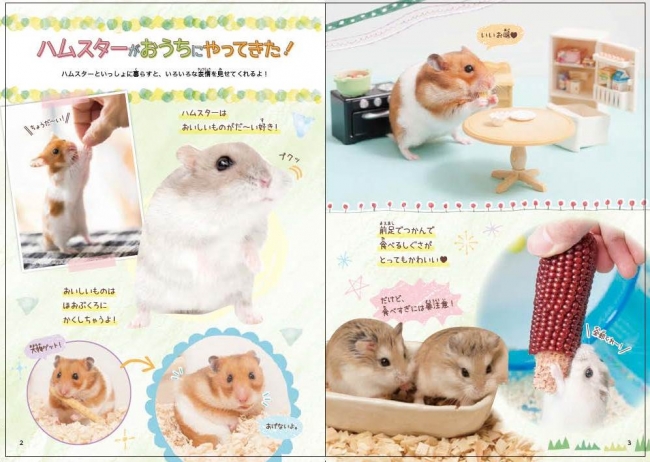 初心者必見！ ハムスターと暮らすために絶対に知っておきたいことが