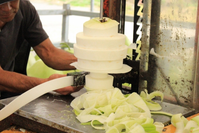 1年で僅か300個のみ販売！畑で穫れる、幻の超高音質かんぴょう