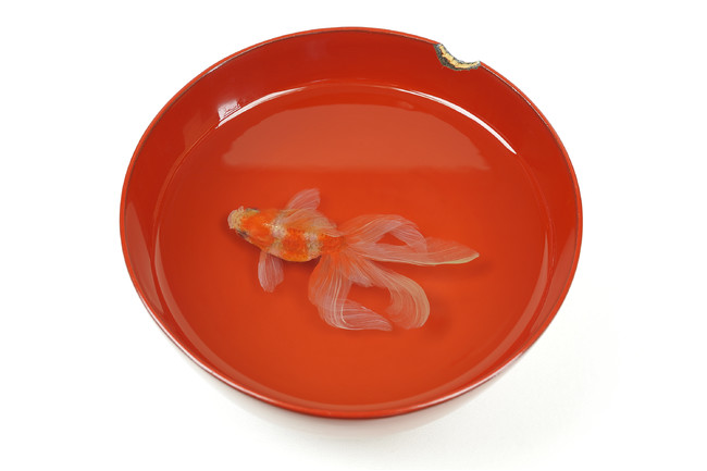 神戸ファッション美術館は、9月11日(土)から特別展 深堀隆介展「金魚鉢