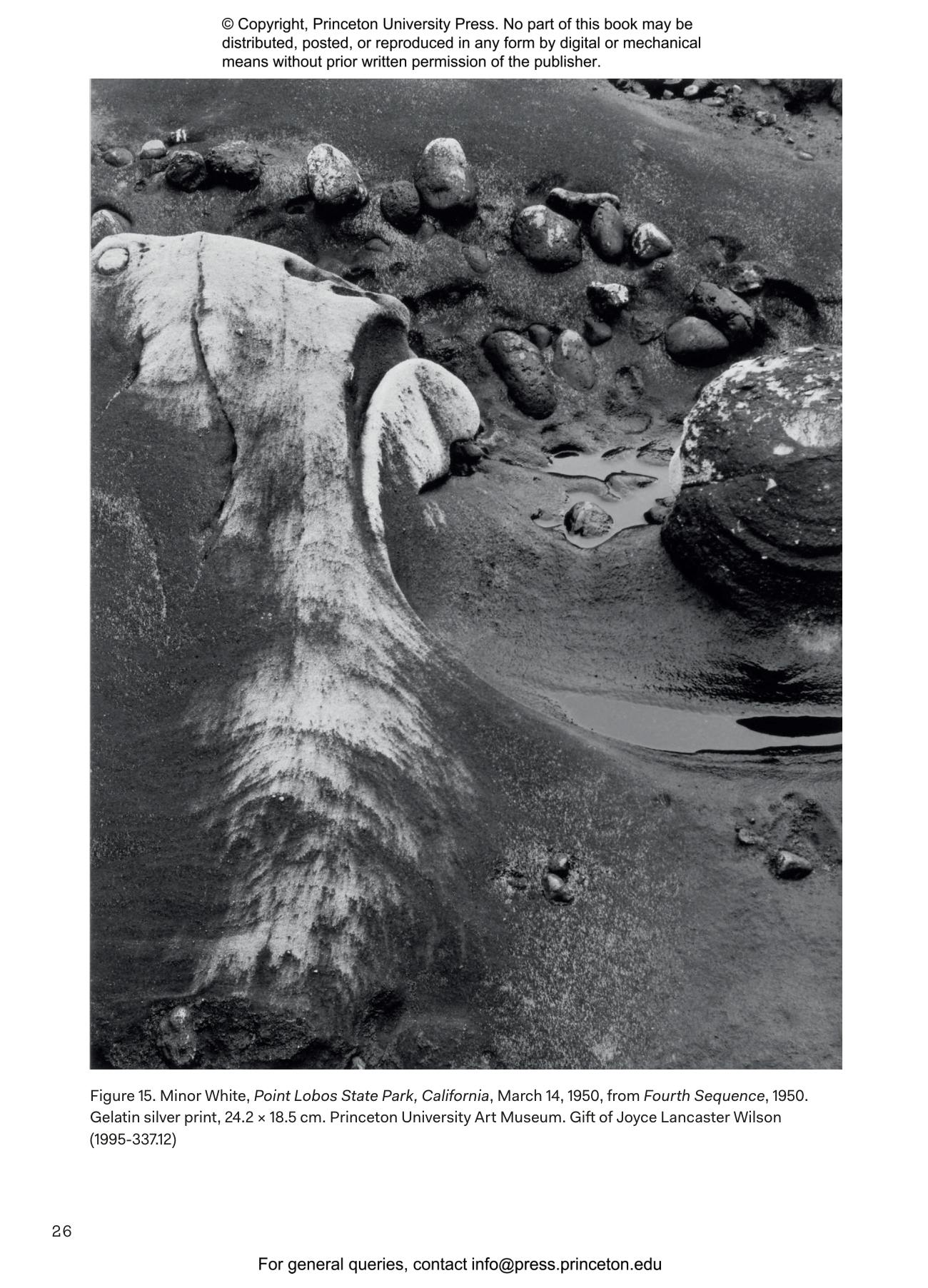 Minor White, Memorable Fancies | Princeton University Press