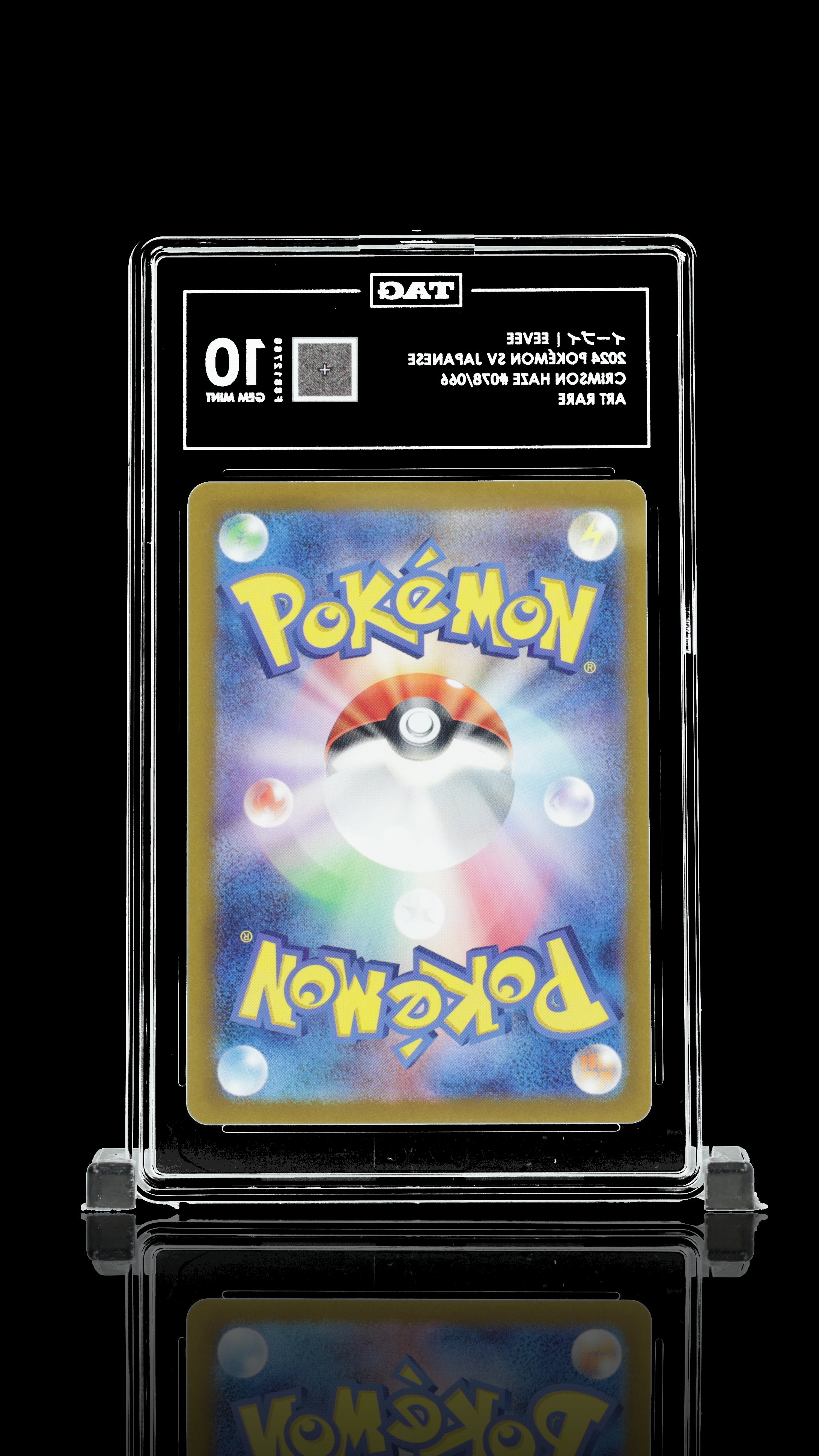 イーブイ Eevee 10 GEM MINT – Qd's cardshop