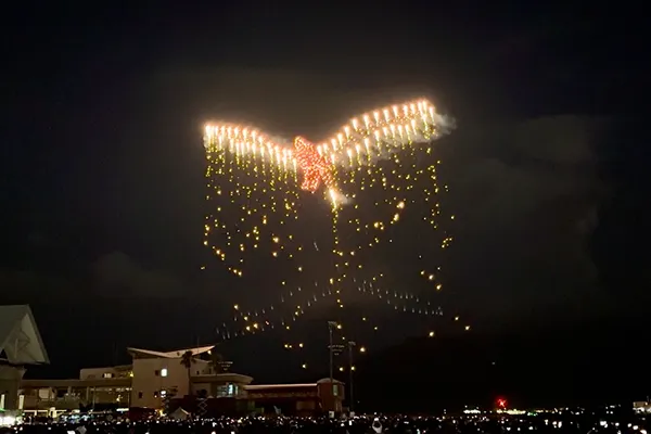 第22回かごしま錦江湾サマーナイト大花火大会ドローンショー | 実績