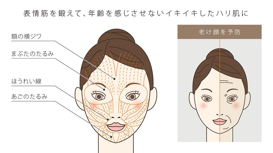 ドクタープロ ビューティーシークレット通販|麗ビューティーオンライン